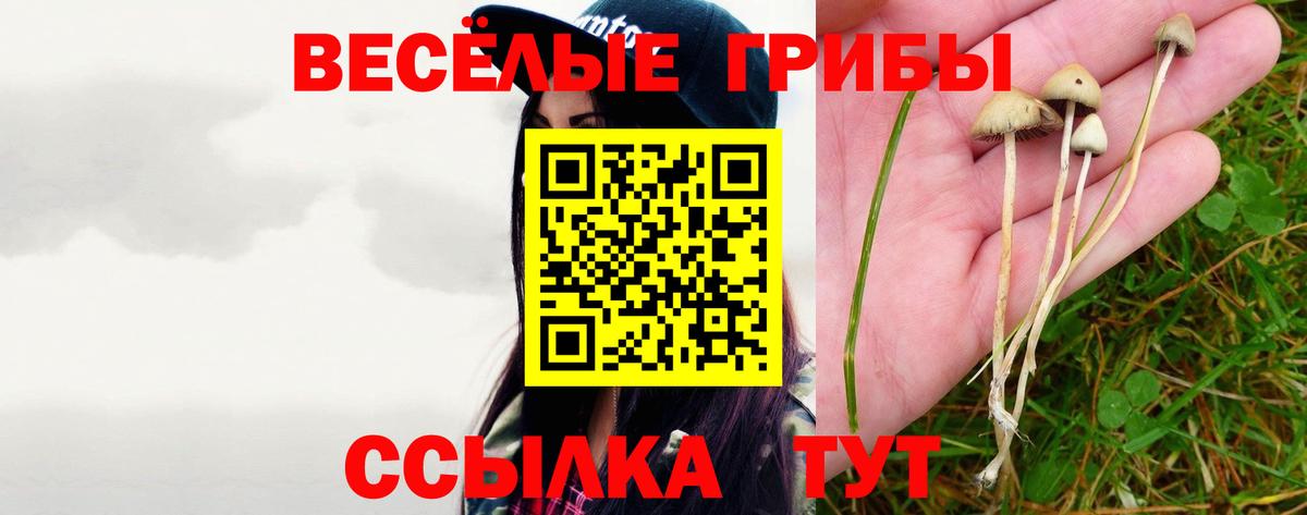 Галлюциногенные грибы Psilocybe  Вход с VPN  Краснодар 